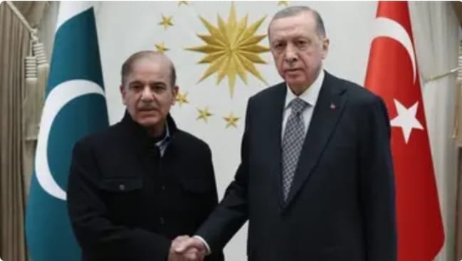 وزیراعظم پاکستان کی ترک صدرسے ملاقات،زلزلے میں ہزاروں انسانی جانوں کے ضیاع پراظہارِافسوس